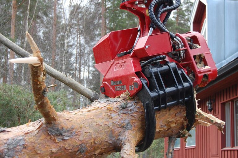 ADSC_4659-e1541508209206