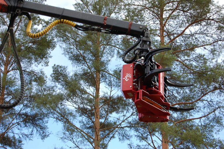 ADSC_4682-e1541508177791