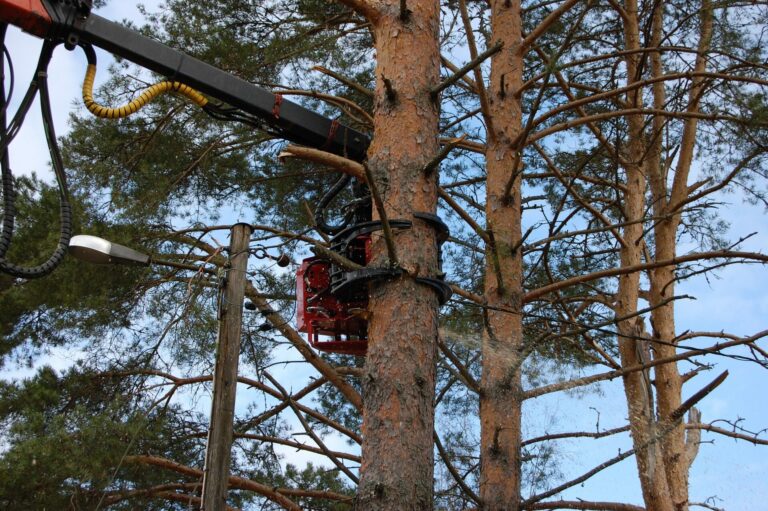 ADSC_4687-e1541508155290